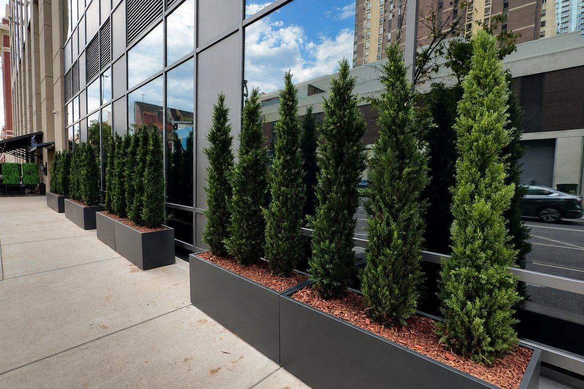 A commercial office campus with professionally maintained landscape — properties like this qualify for significant turf conversion rebates across Denver metro programs